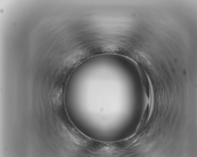 X0000088600364200706011208