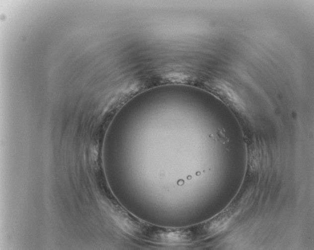 X0000088600365200706011208