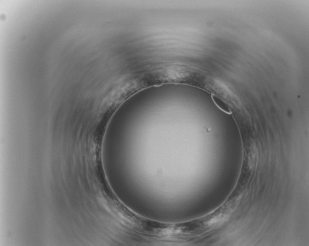 X0000088600366200706011208