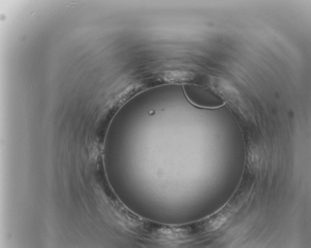 X0000088600367200706011208