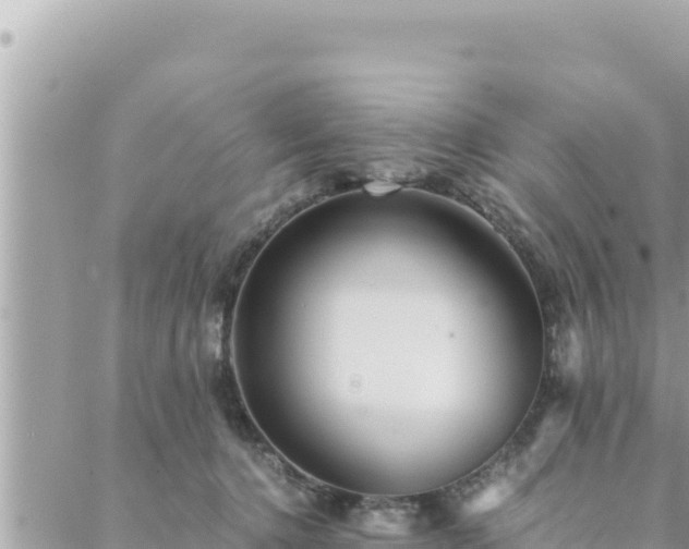 X0000088600368200706011208