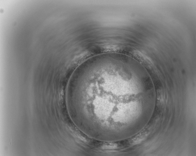 X0000088600369200706011208