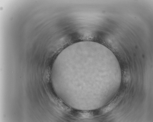 X0000088600370200706011208