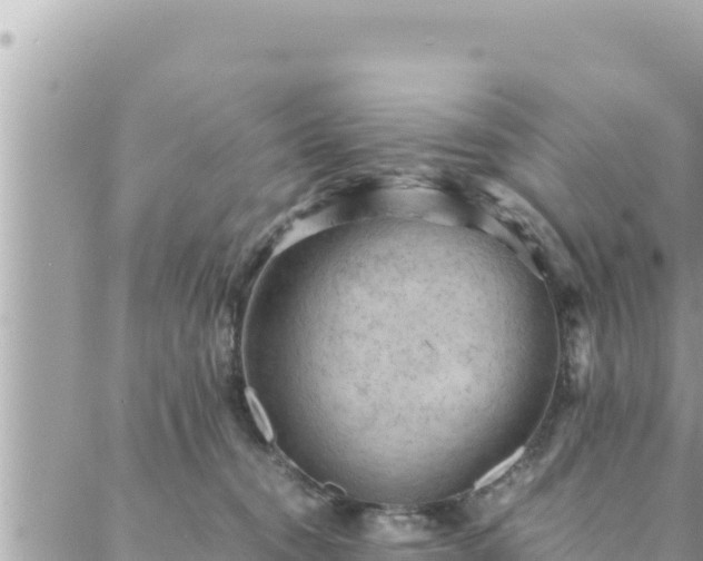 X0000088600372200706011208