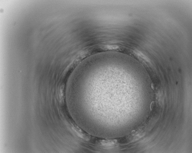 X0000088600373200706011208