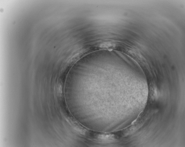 X0000088600375200706011208