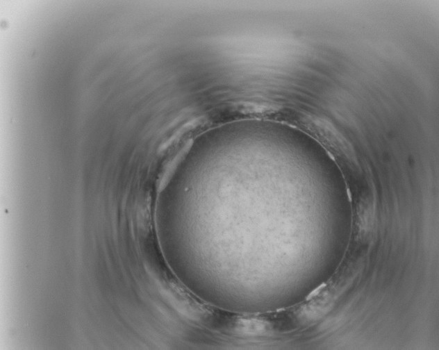 X0000088600376200706011208