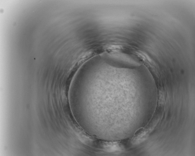 X0000088600377200706011209