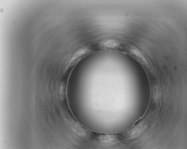 X0000088600378200706011209