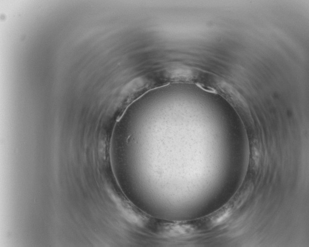 X0000088600379200706011209