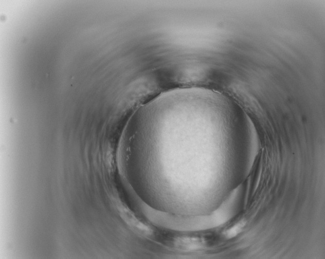 X0000088600380200706011209