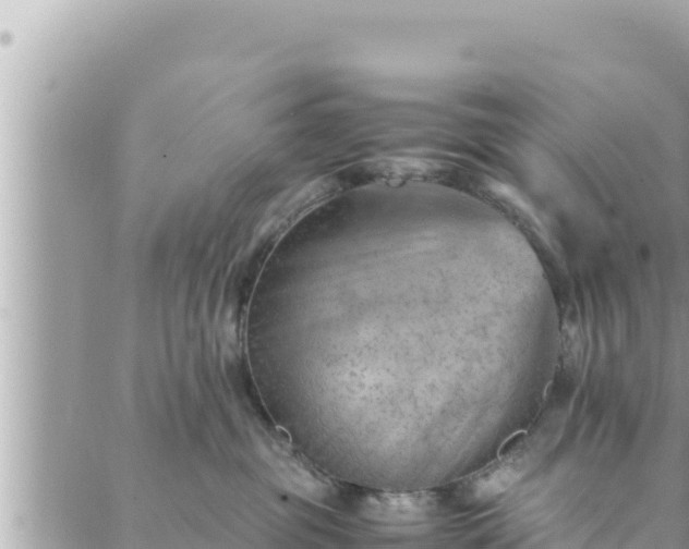 X0000088600381200706011209