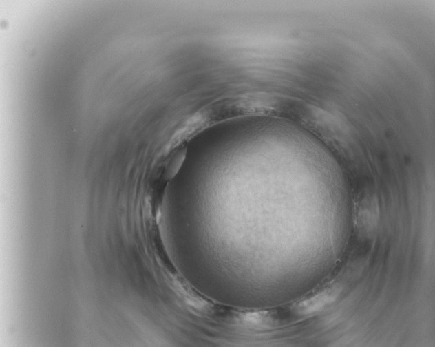 X0000088600382200706011209