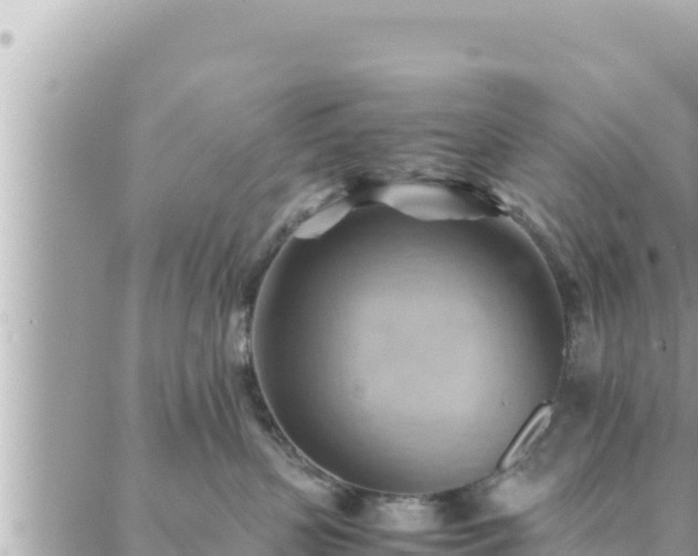 X0000088600383200706011209