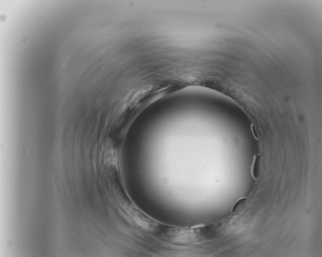 X0000088600384200706011209