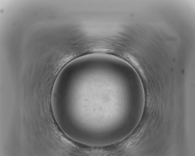 X0000088600385200706011208