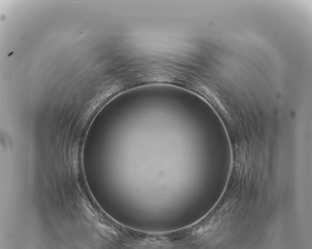 X0000088600386200706011208