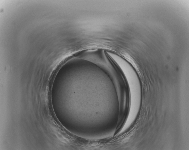 X0000088600387200706011208