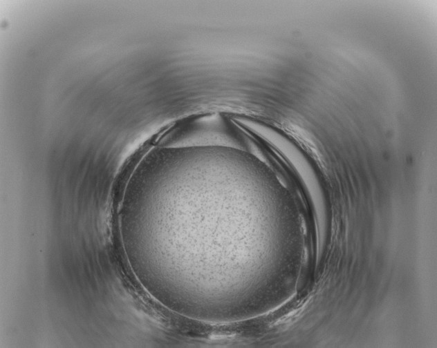 X0000088600388200706011208