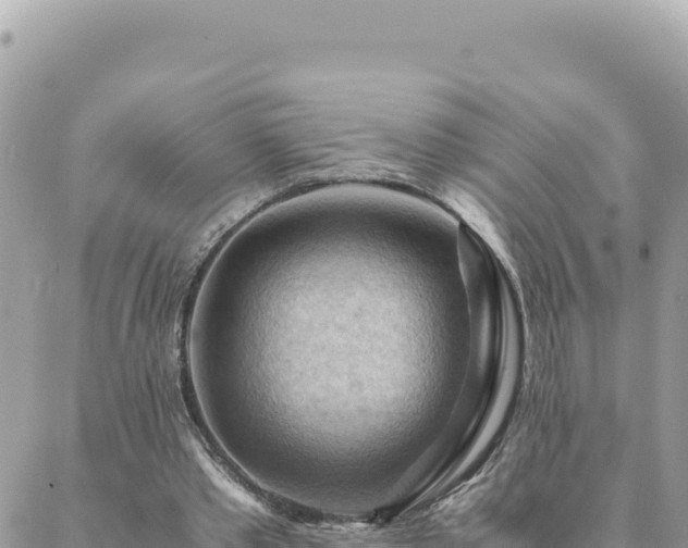 X0000088600389200706011208