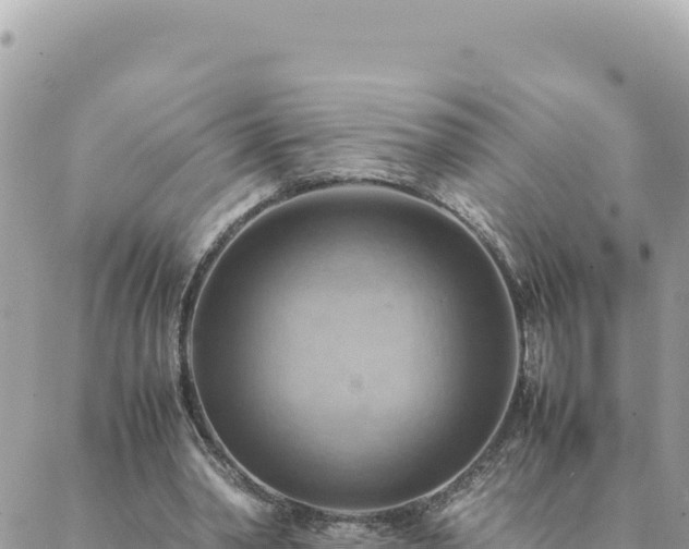 X0000088600390200706011208