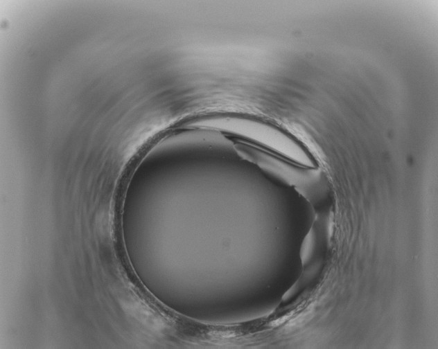 X0000088600391200706011208