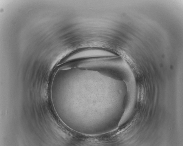 X0000088600392200706011208