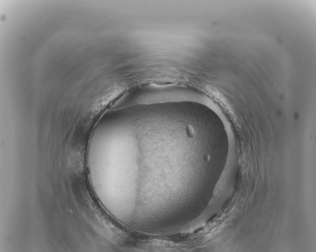 X0000088600393200706011208