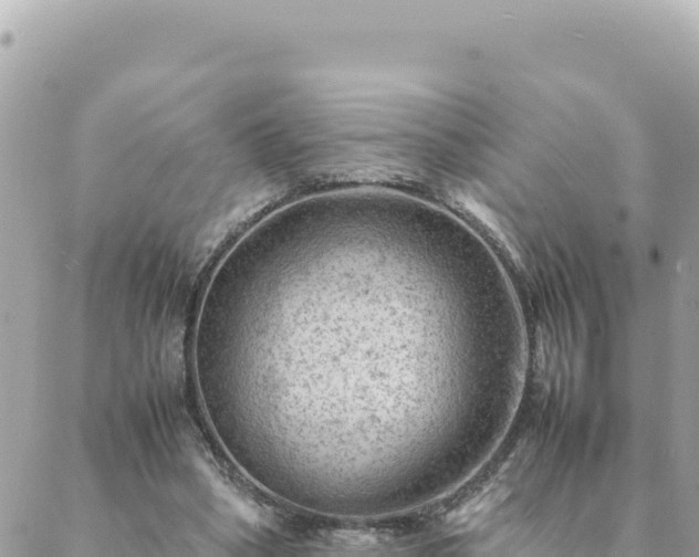 X0000088600394200706011208