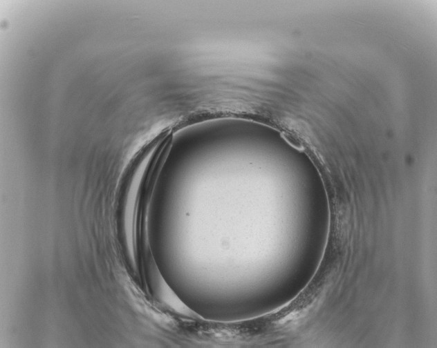 X0000088600395200706011208