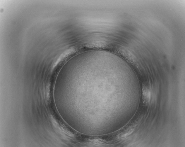 X0000088600396200706011208