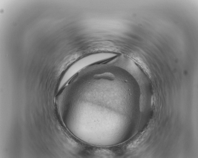 X0000088600397200706011208