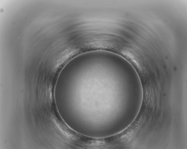 X0000088600398200706011208