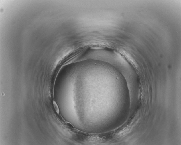 X0000088600399200706011208