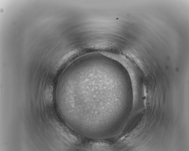 X0000088600400200706011208