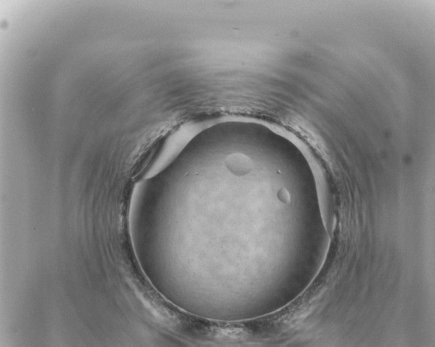 X0000088600401200706011208