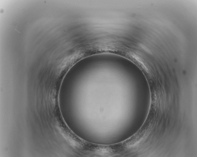 X0000088600402200706011208