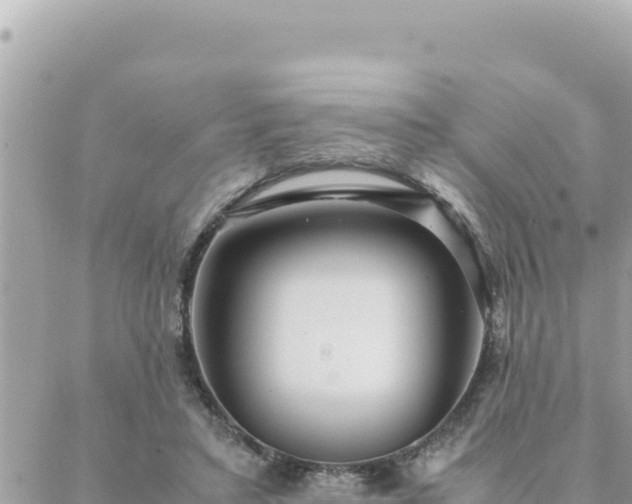 X0000088600403200706011208