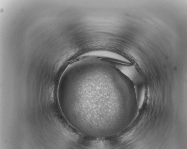 X0000088600404200706011208