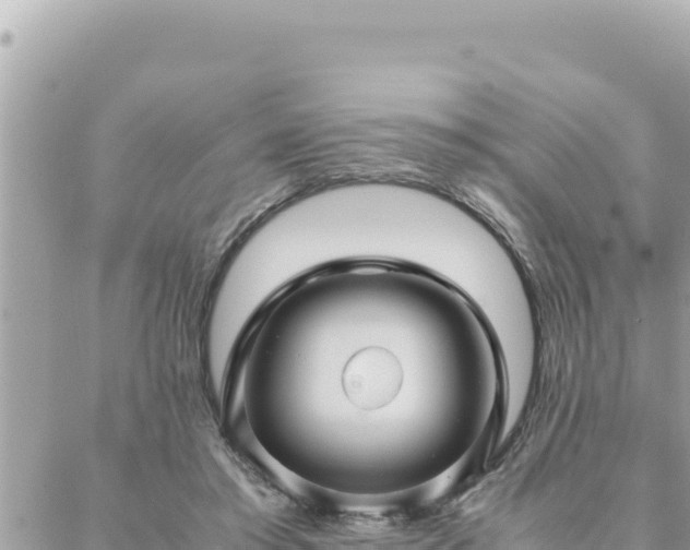 X0000088600405200706011208