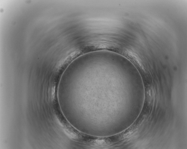 X0000088600406200706011208