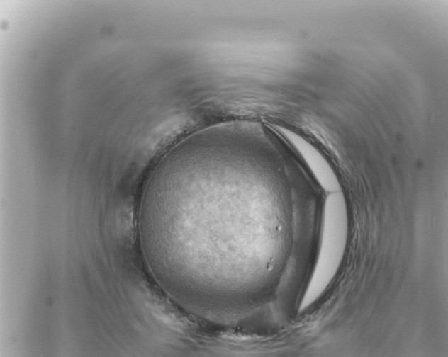 X0000088600407200706011207