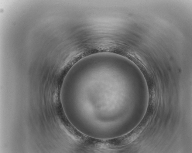 X0000088600408200706011207