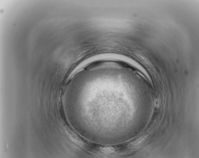 X0000088600409200706011207