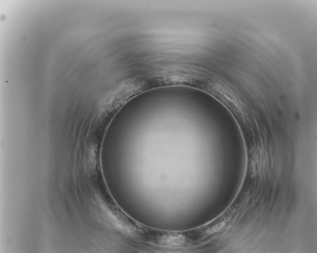 X0000088600410200706011207