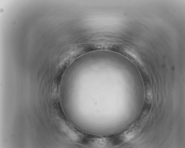 X0000088600411200706011207