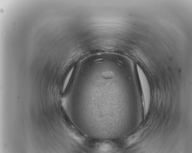 X0000088600412200706011207