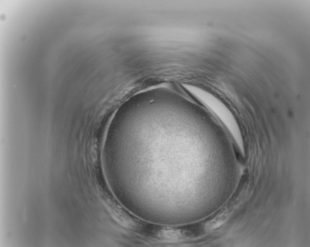 X0000088600413200706011207