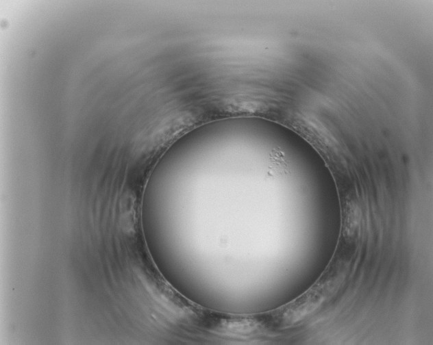 X0000088600414200706011207