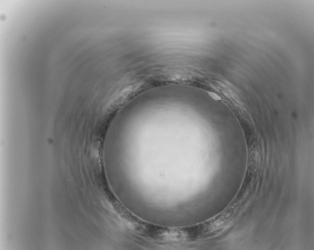 X0000088600415200706011207